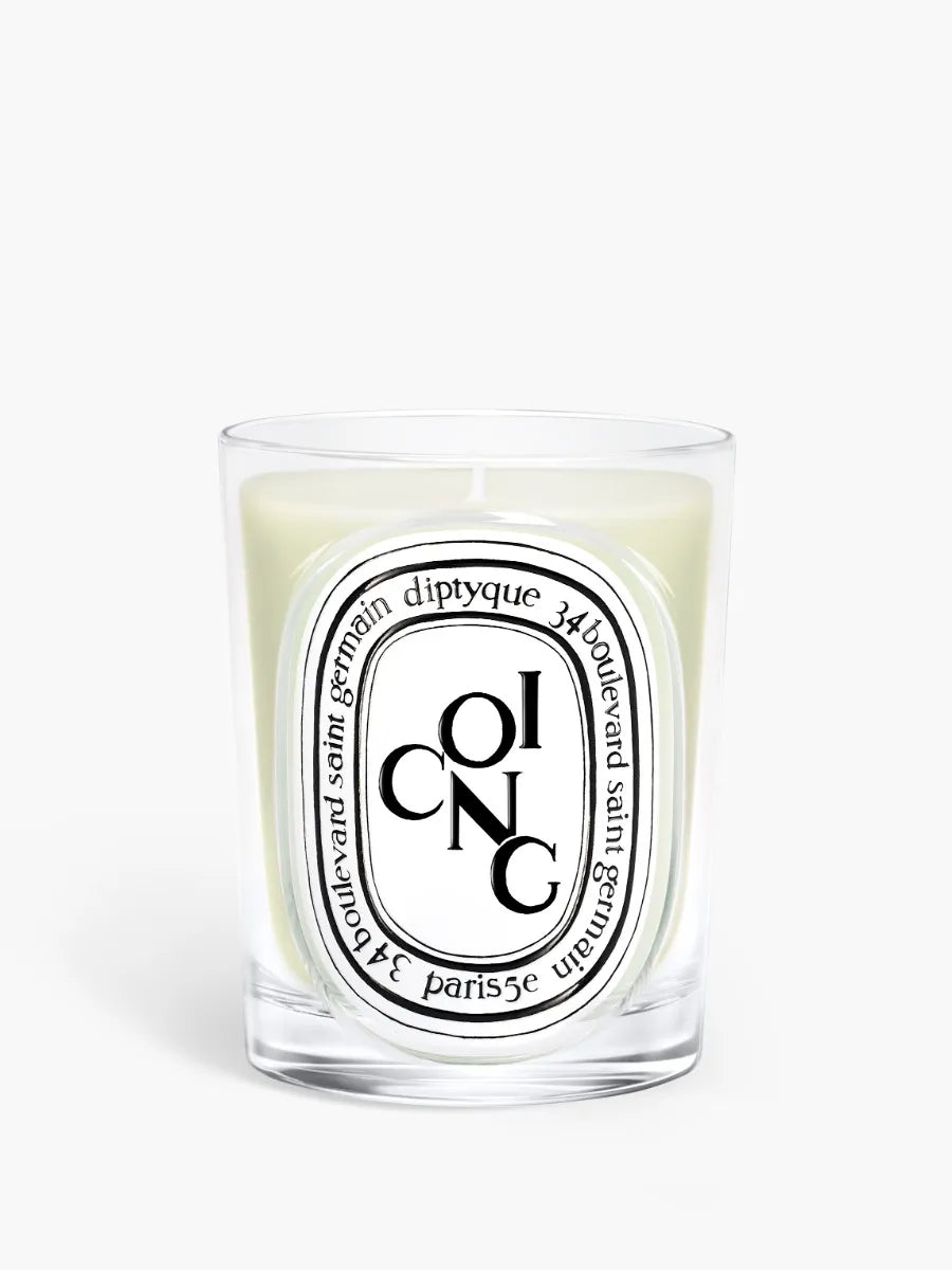 Coing (Quince) - Classic Candle – Diptyque