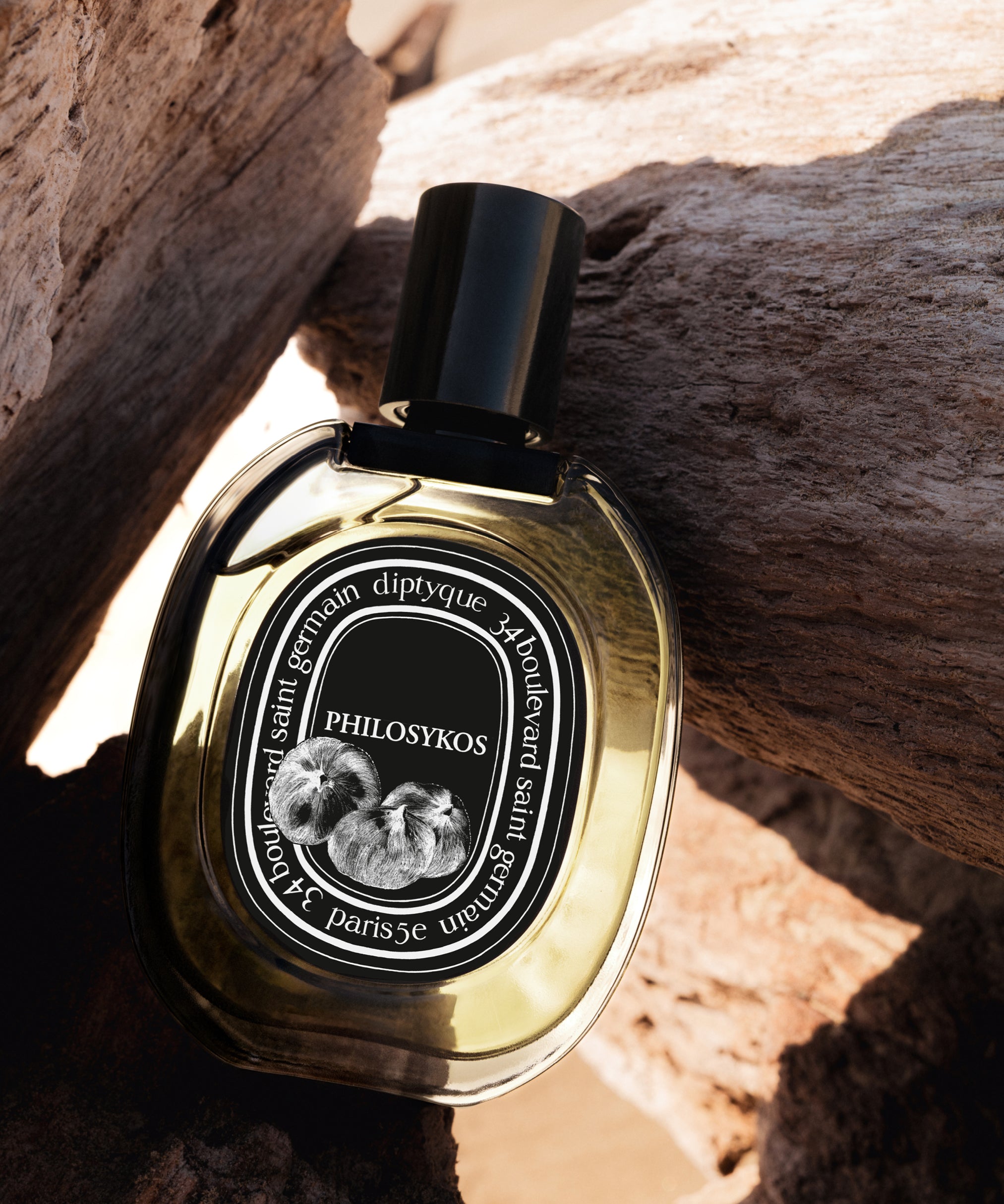 Philosykos Franchise – Diptyque