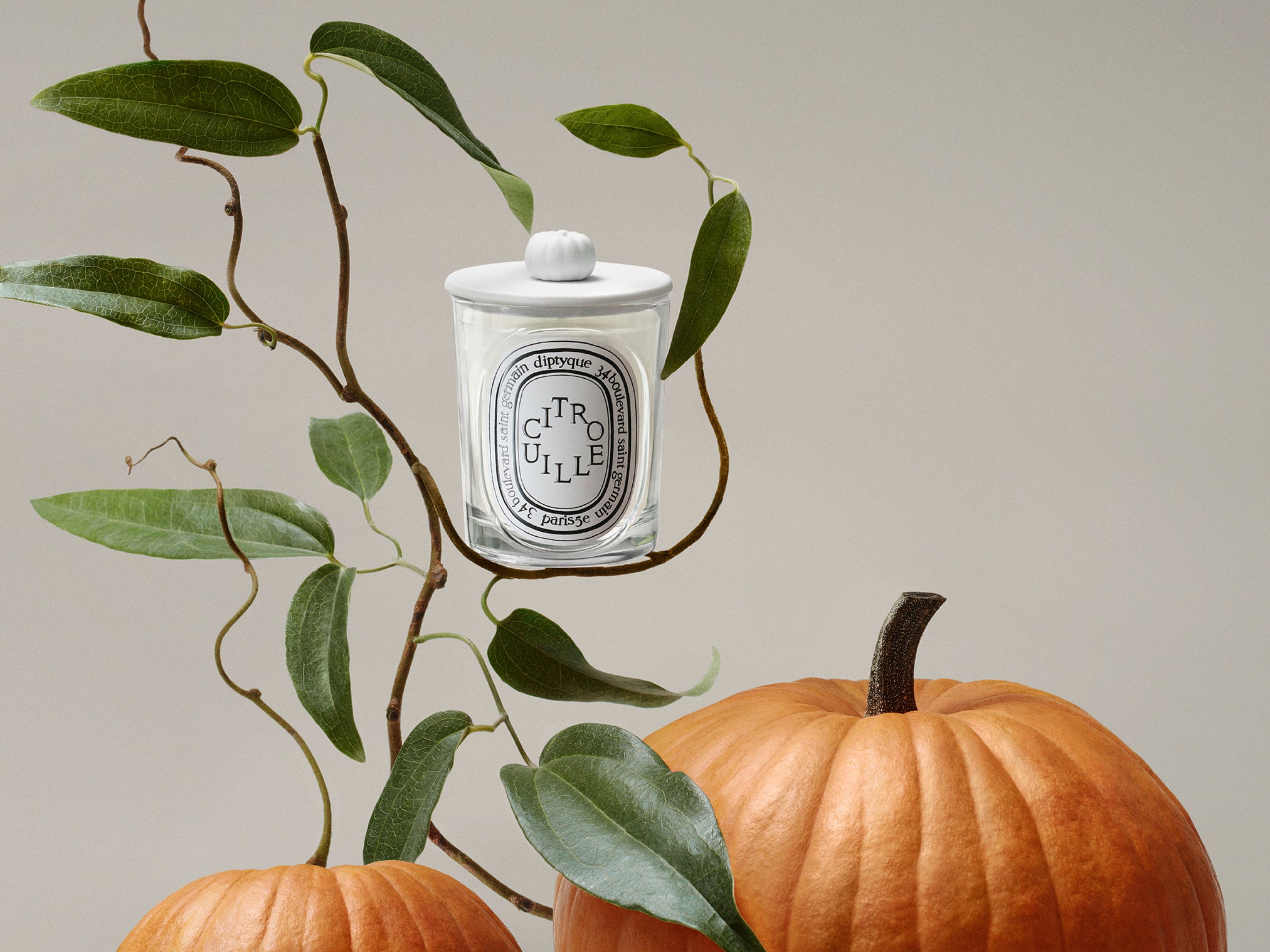 Cannelle (Cinnamon) - Classic Candle – Diptyque