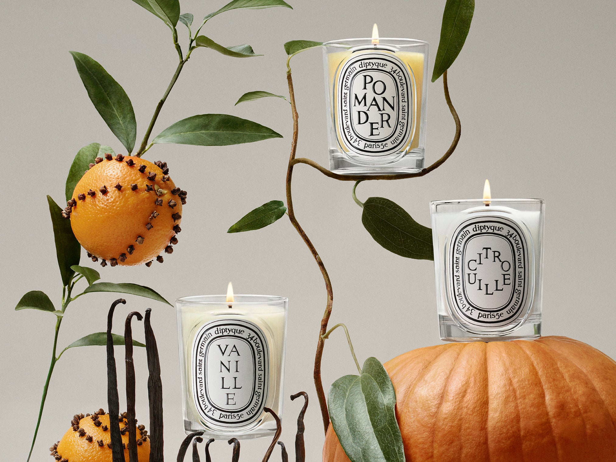 Baies (Berries) - Large Candle – Diptyque