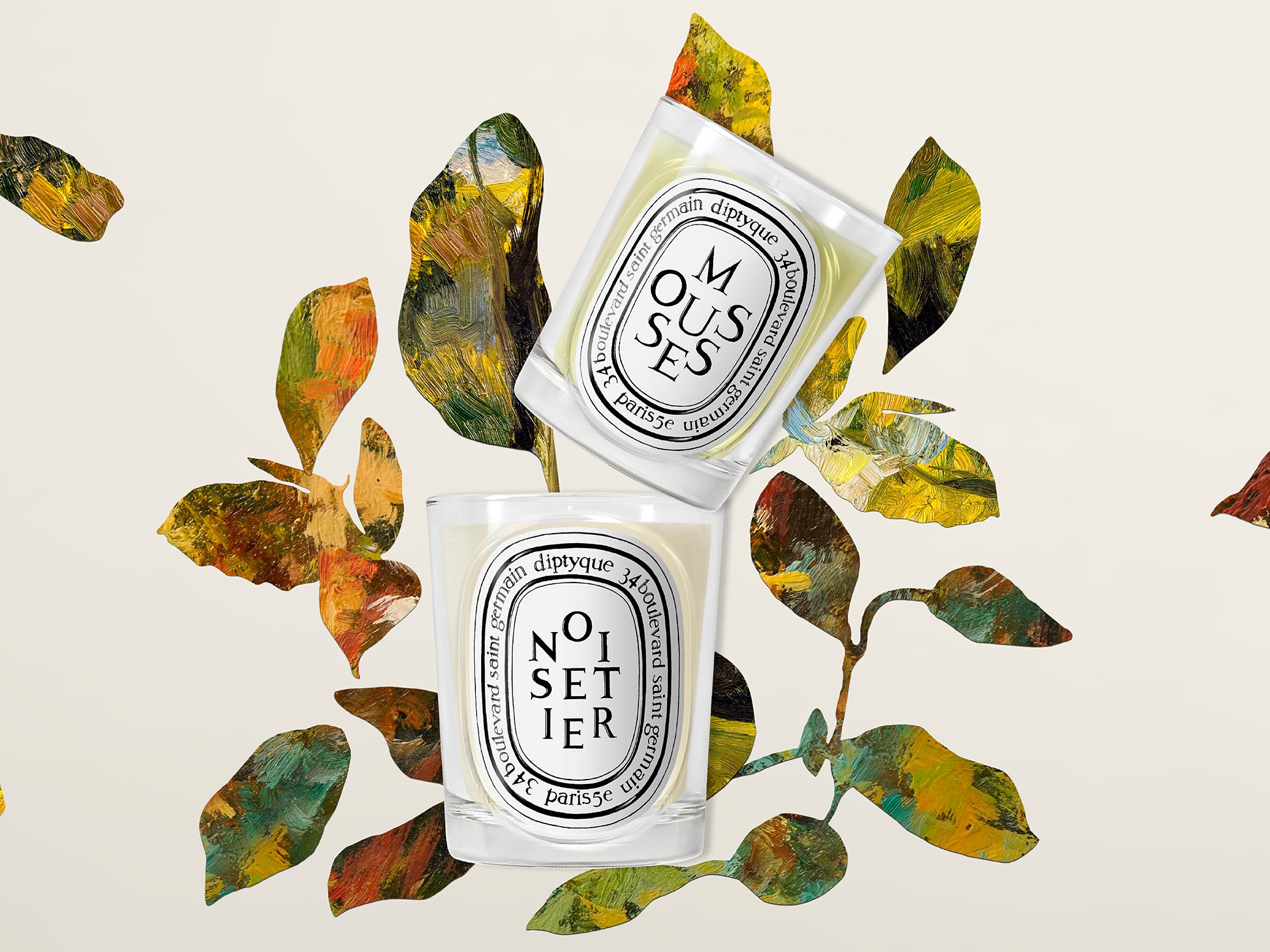 Mousses (Moss) - Classic Candle – Diptyque