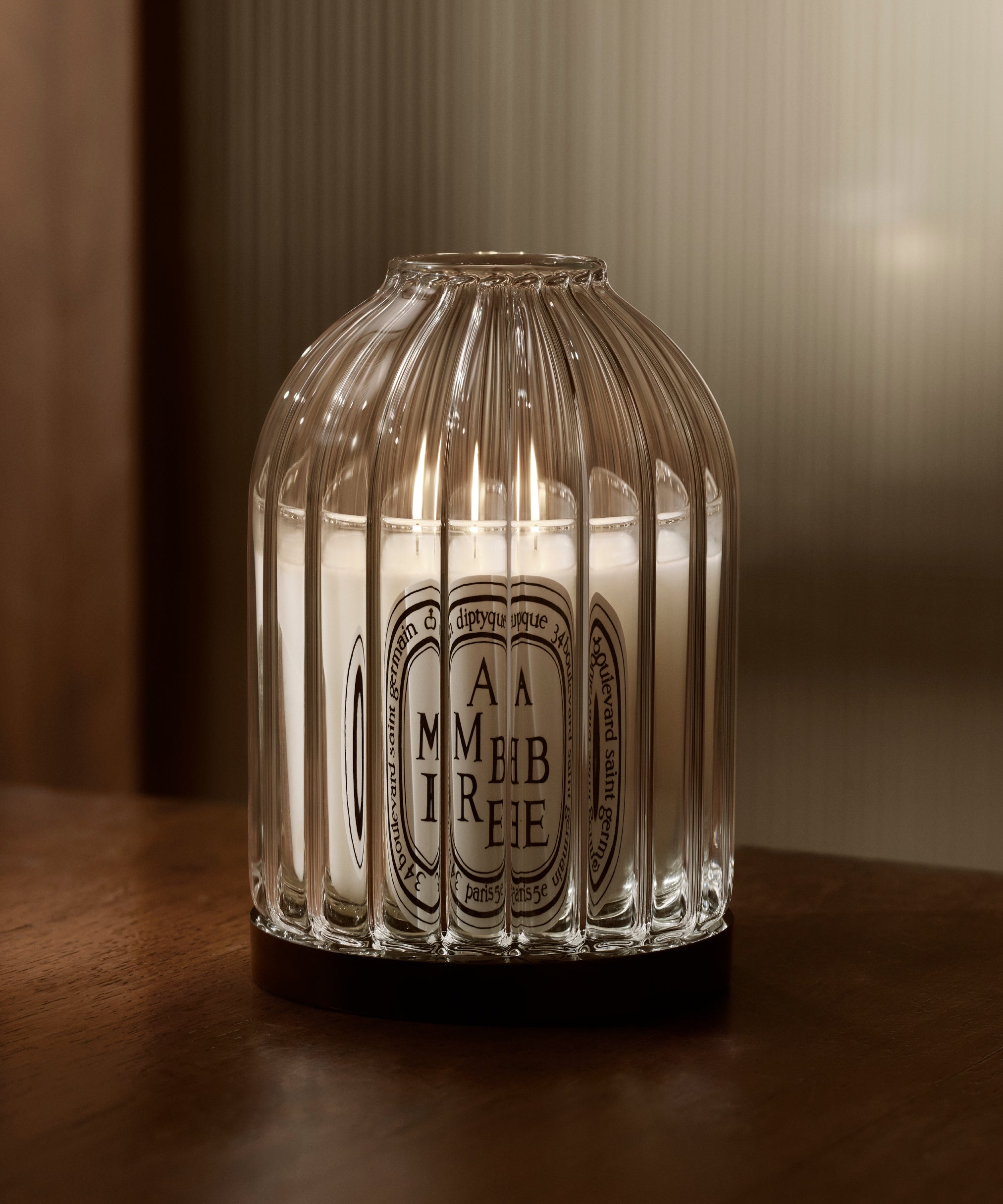 Figuier (Fig Tree) - Classic Candle – Diptyque