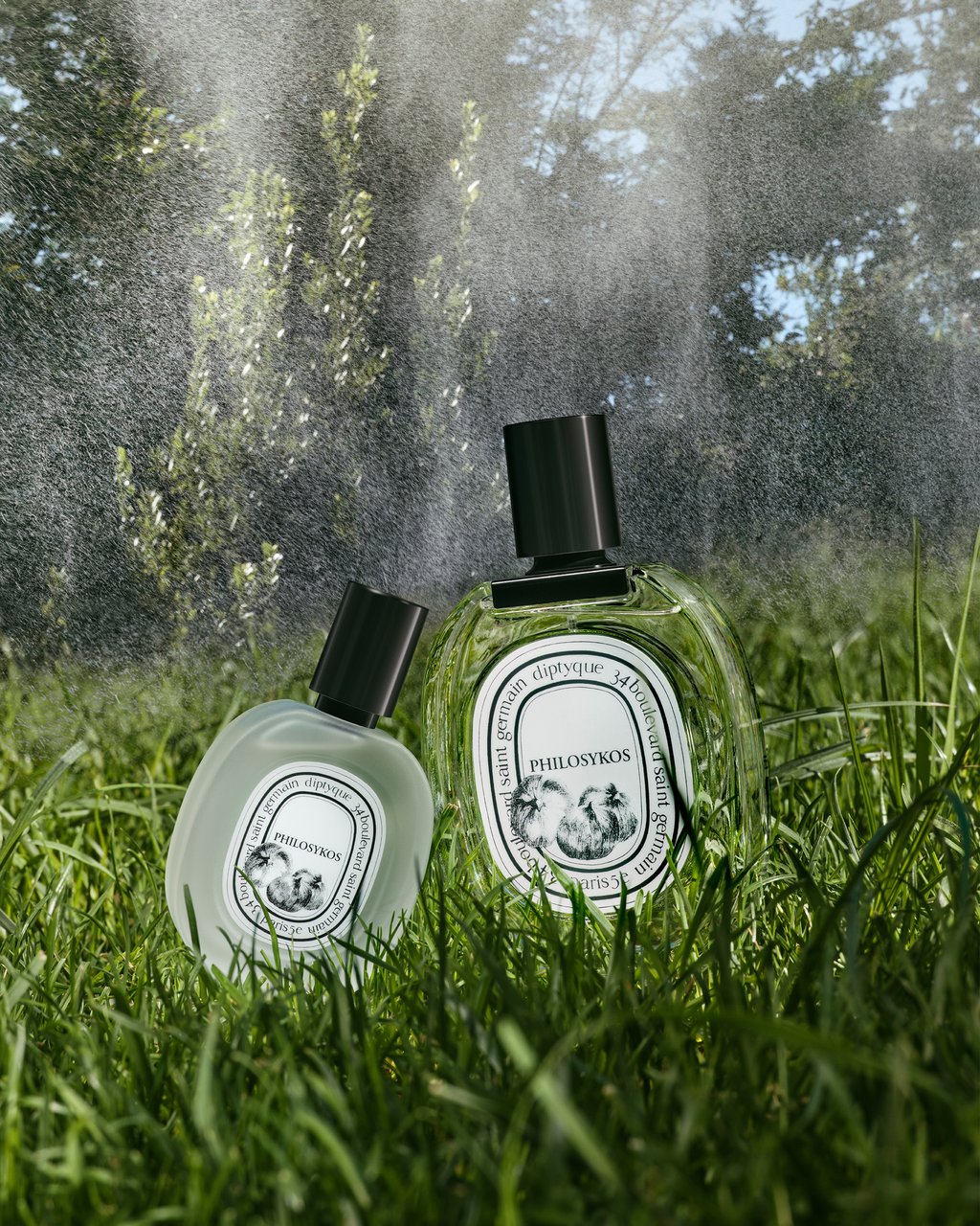残量半分diptyque PHILOSYKOS EDP 75ml ＋サンプル付き Philosykos - Eau de parfum – Diptyque