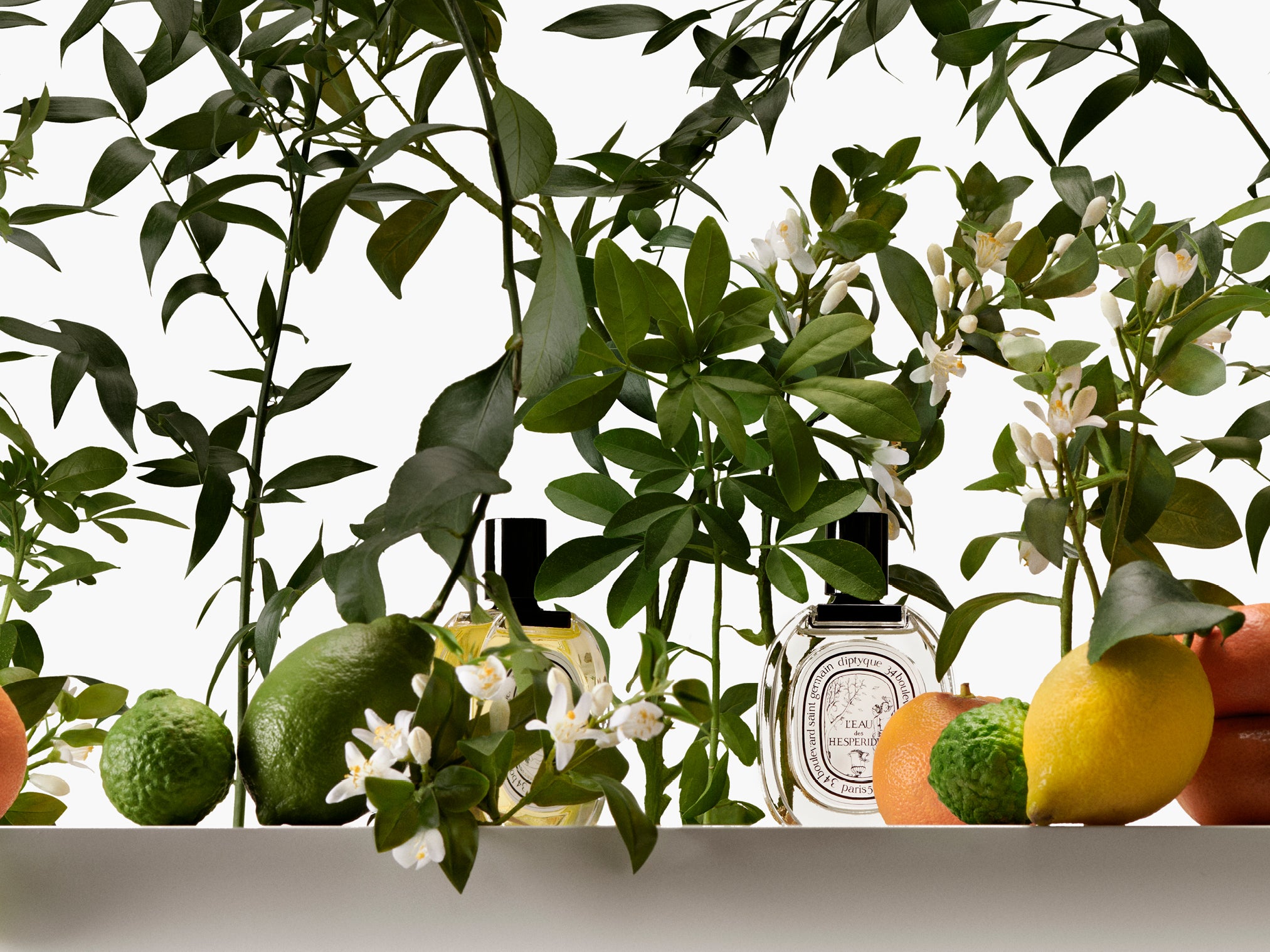 Set of 5 Eaux de toilette - To compose – Diptyque