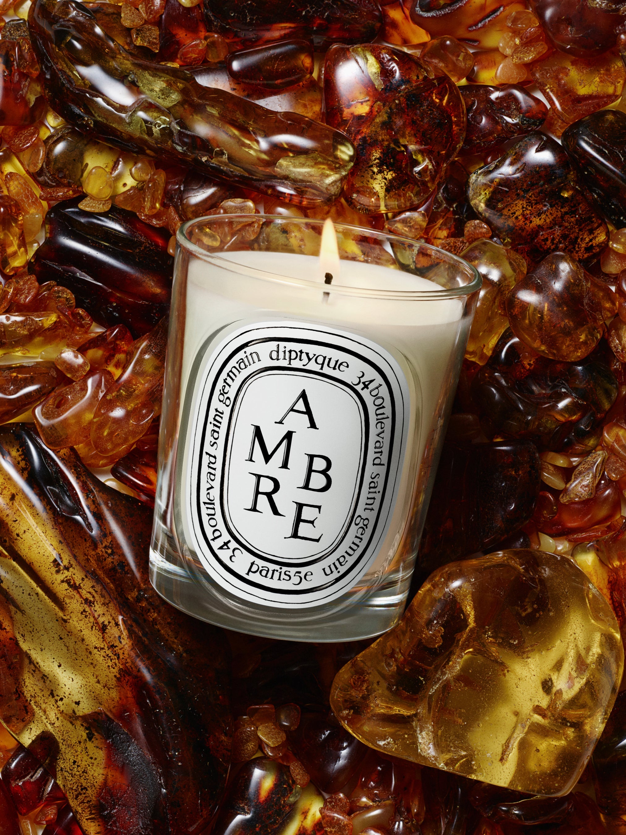 キャンドル Diptyque HONGKONG scented candle 190g HERBIER_CTM_VISUEL_AMBRE-