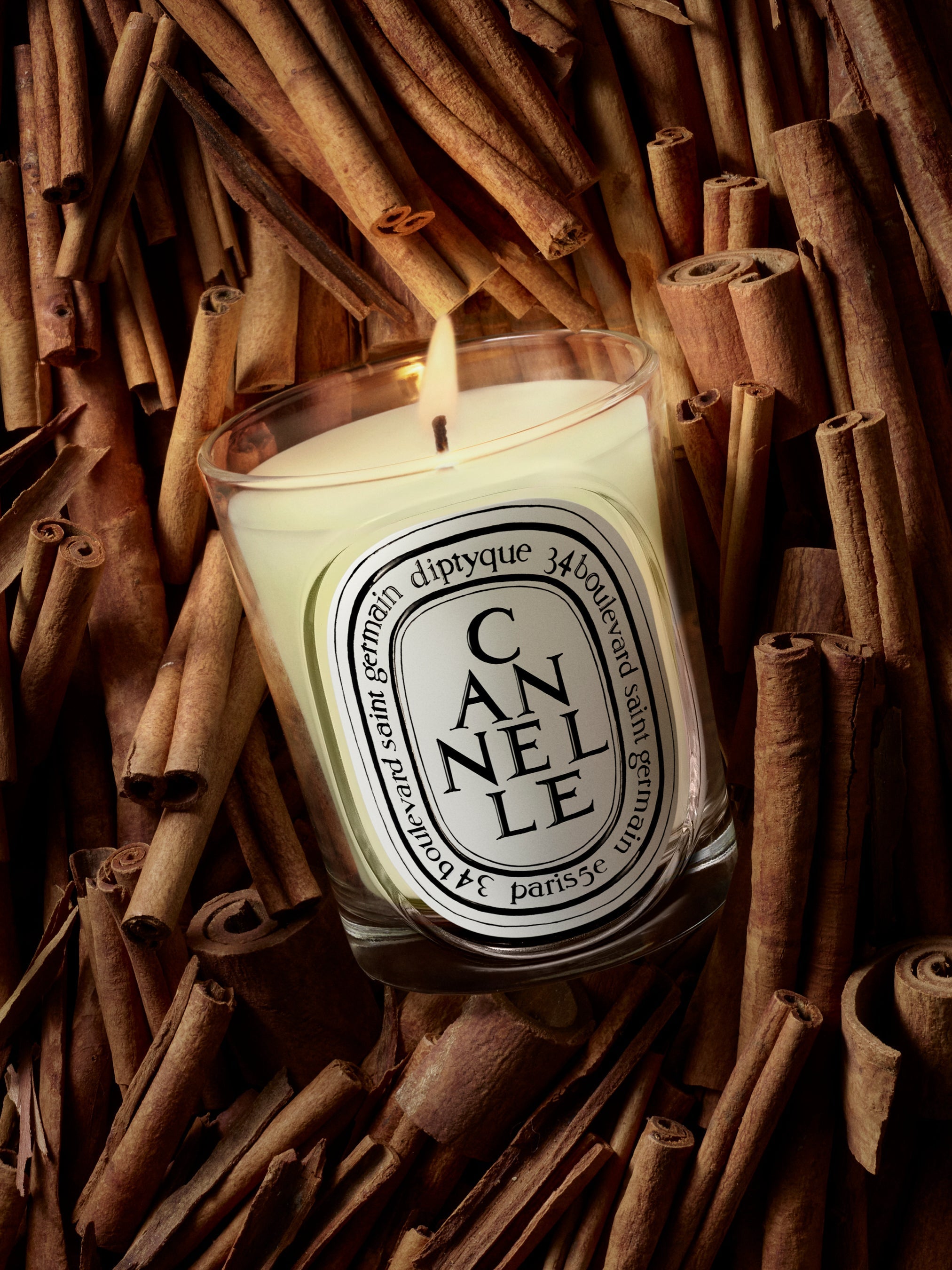 キャンドル Diptyque HONGKONG scented candle 190g HERBIER_CTM_VISUEL_CANNELLE-