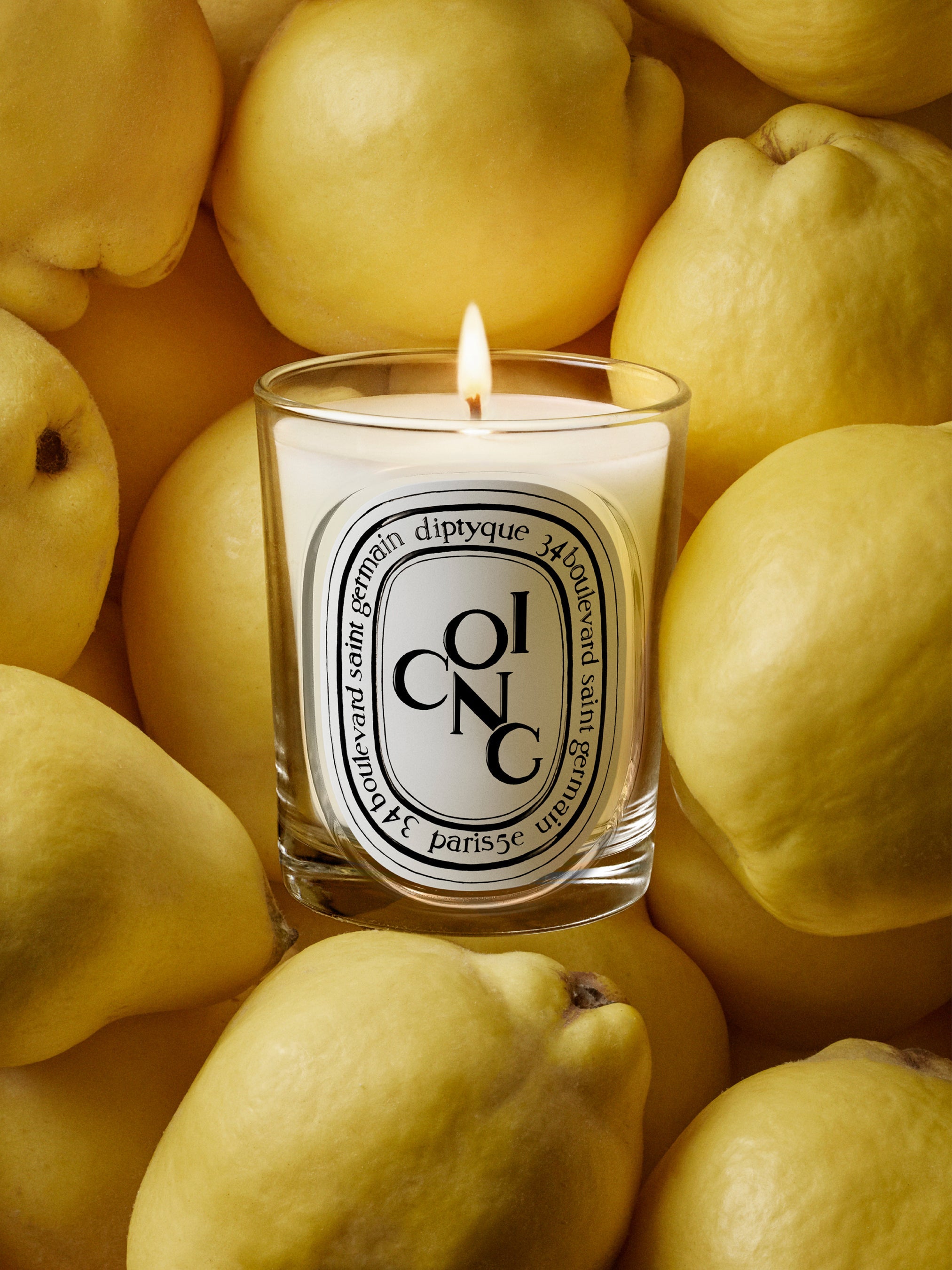 diptyque bougie parfumée 190g COING Coing (Quince) - Classic Candle – Diptyque
