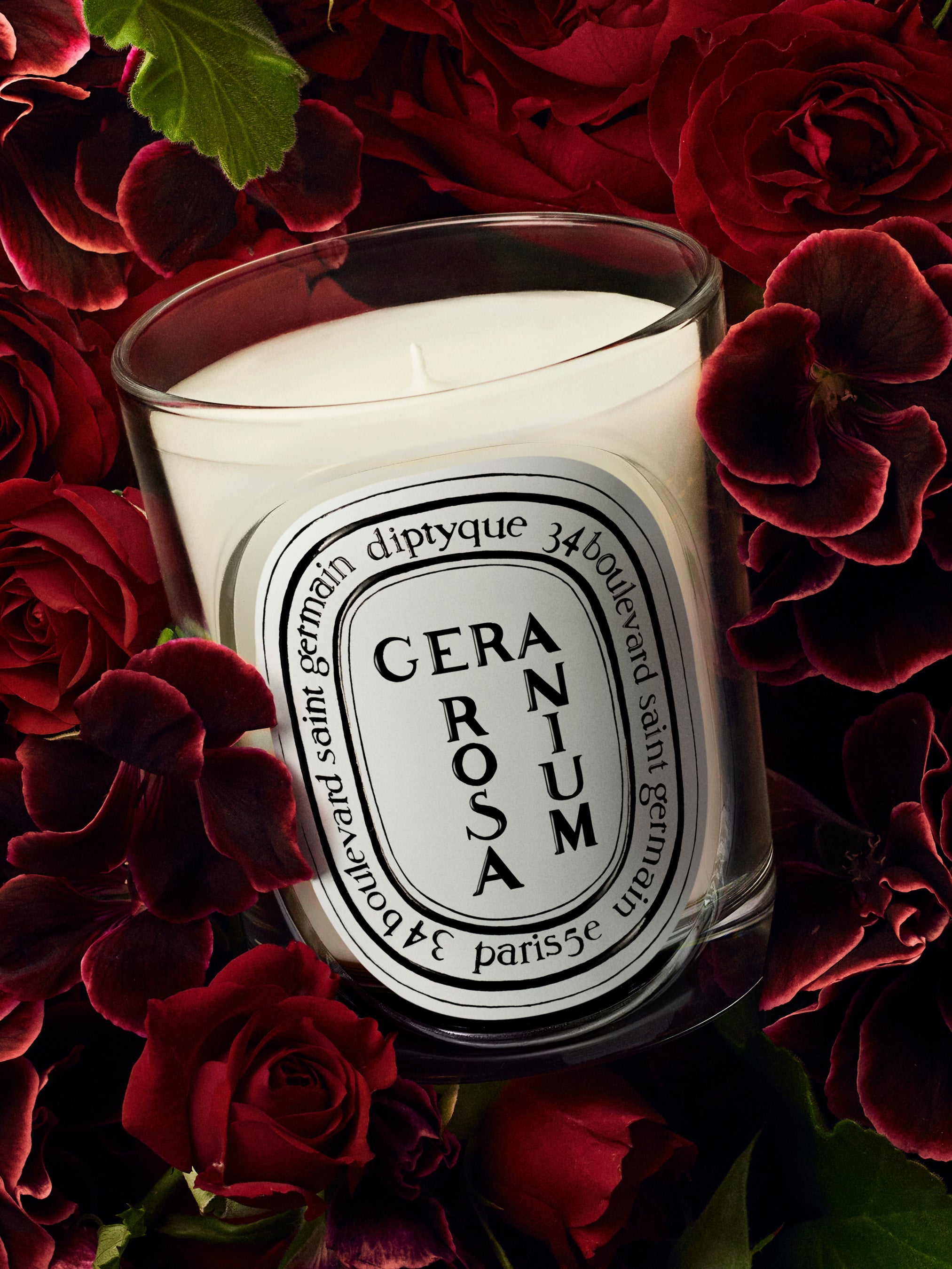 Geranium Rosa - Classic Candle – Diptyque