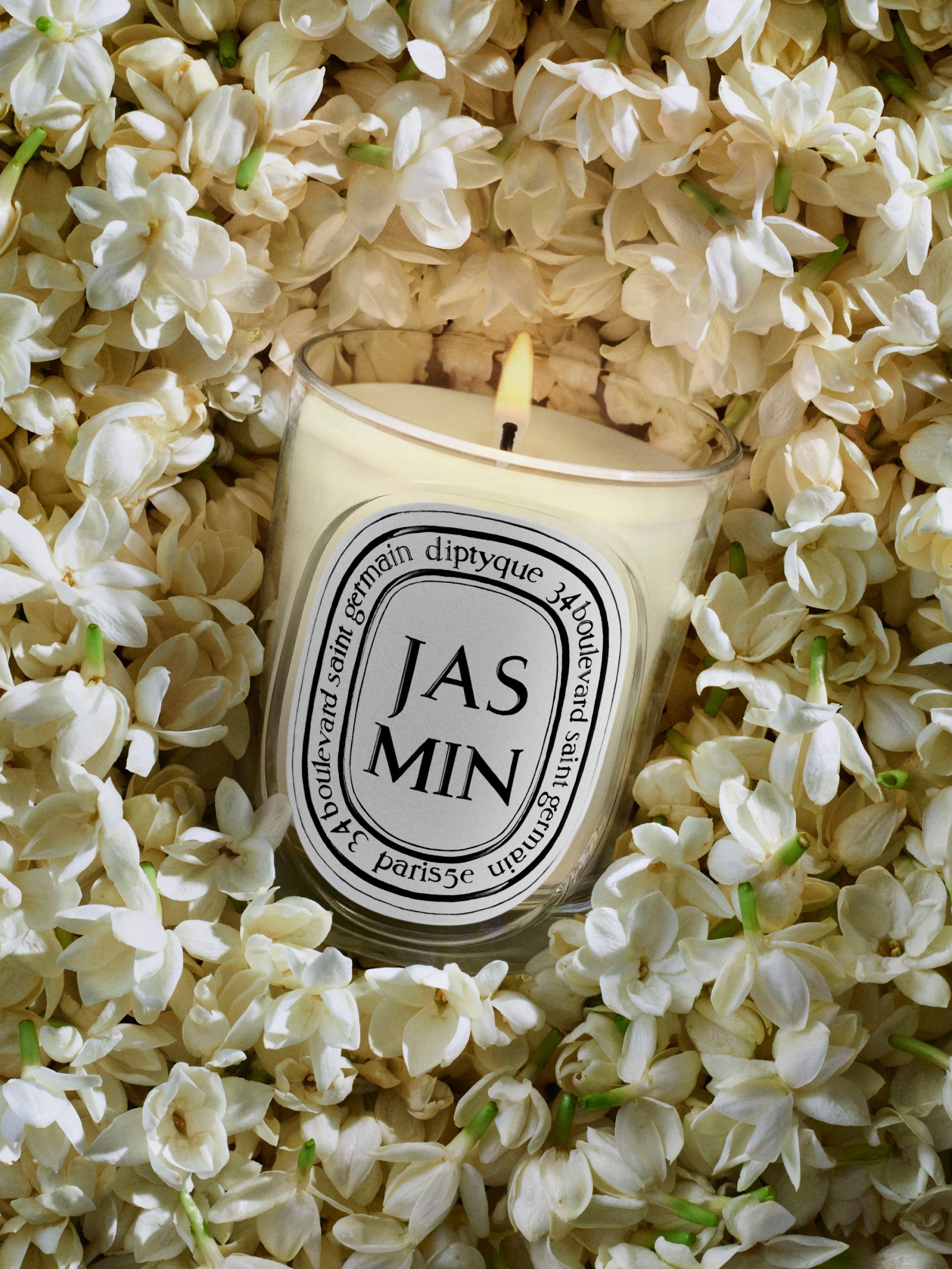 Diptyque アロマキャンドル　ジャスミン　JASMIN Jasmin (Jasmine) - Classic Candle – Diptyque