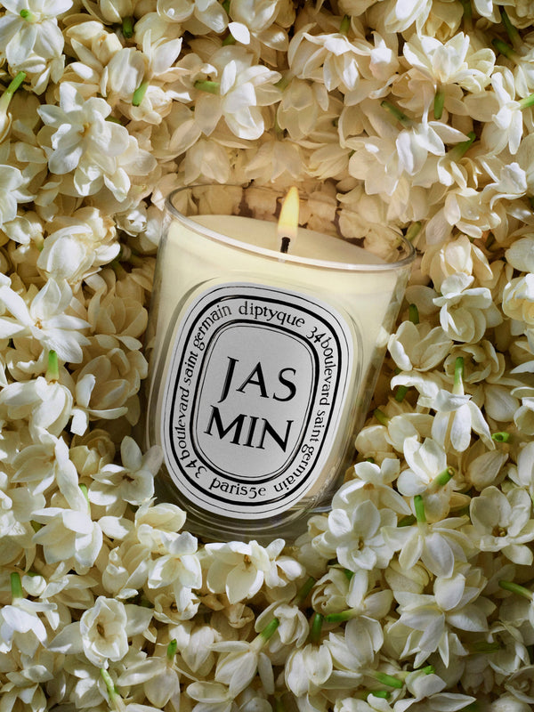 Jasmin (茉莉) - 經典蠟燭