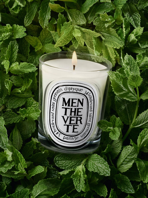 Menthe Verte (薄荷) - 經典蠟燭