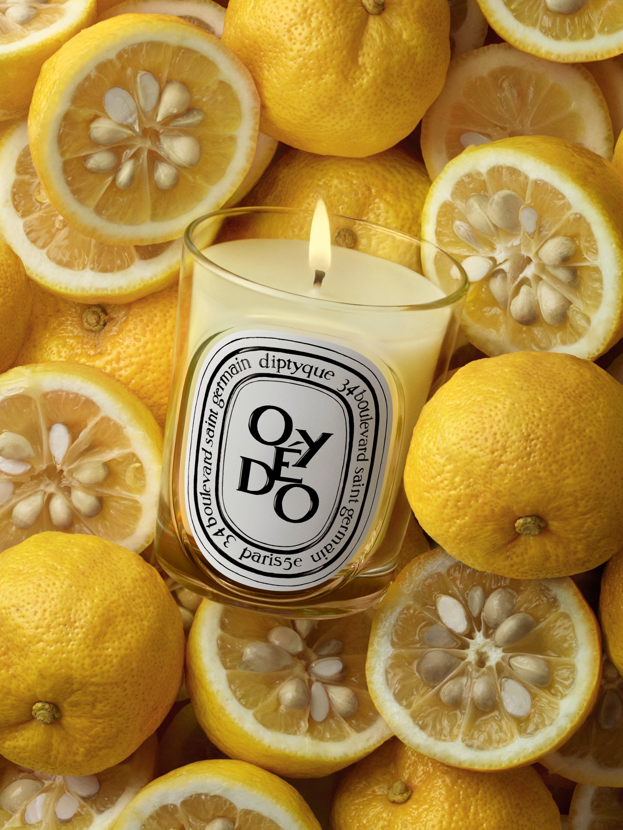 diptyque オイエド HERBIER_VISUEL_OYEDO-