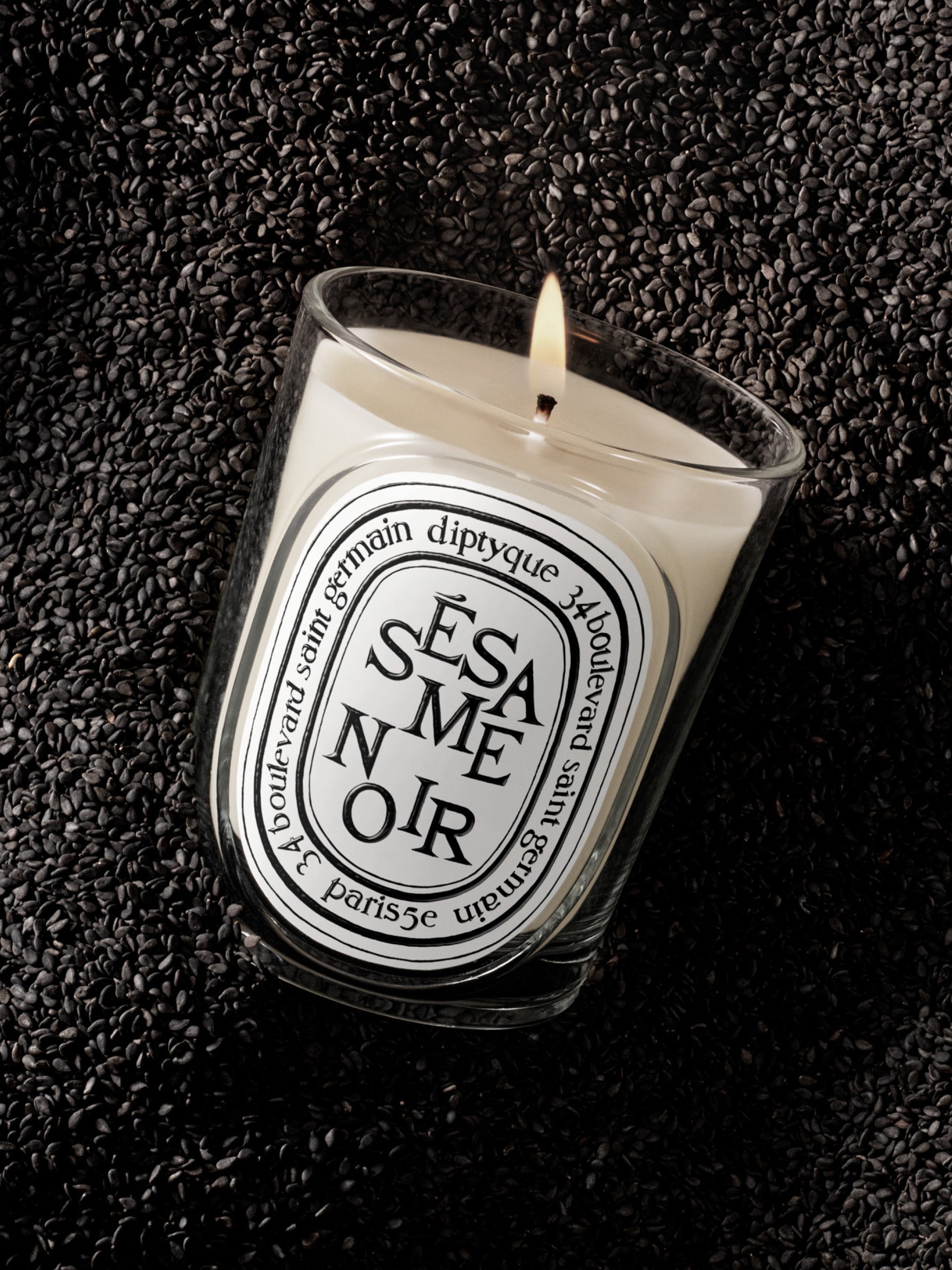 Sésame Noir (Black Sesame) - Classic Candle – Diptyque