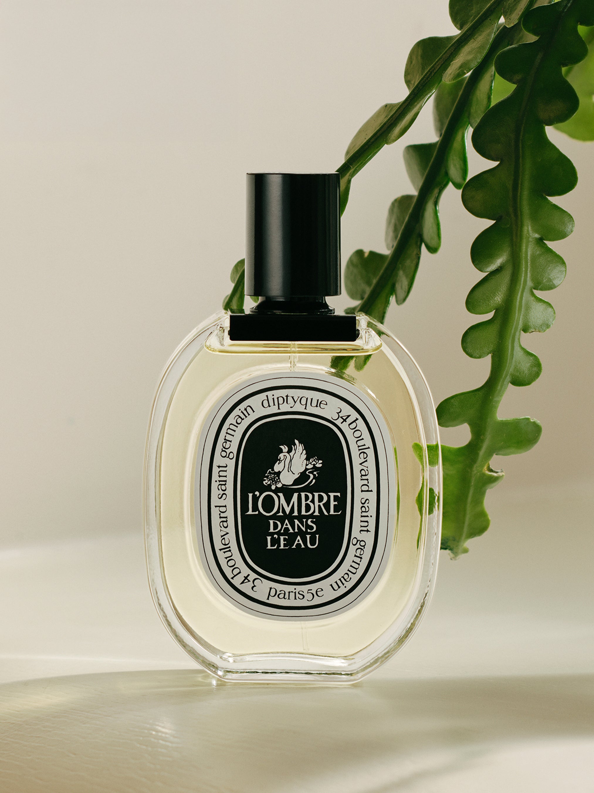 L'Ombre dans l'Eau (影中之水) - 淡香水– Diptyque