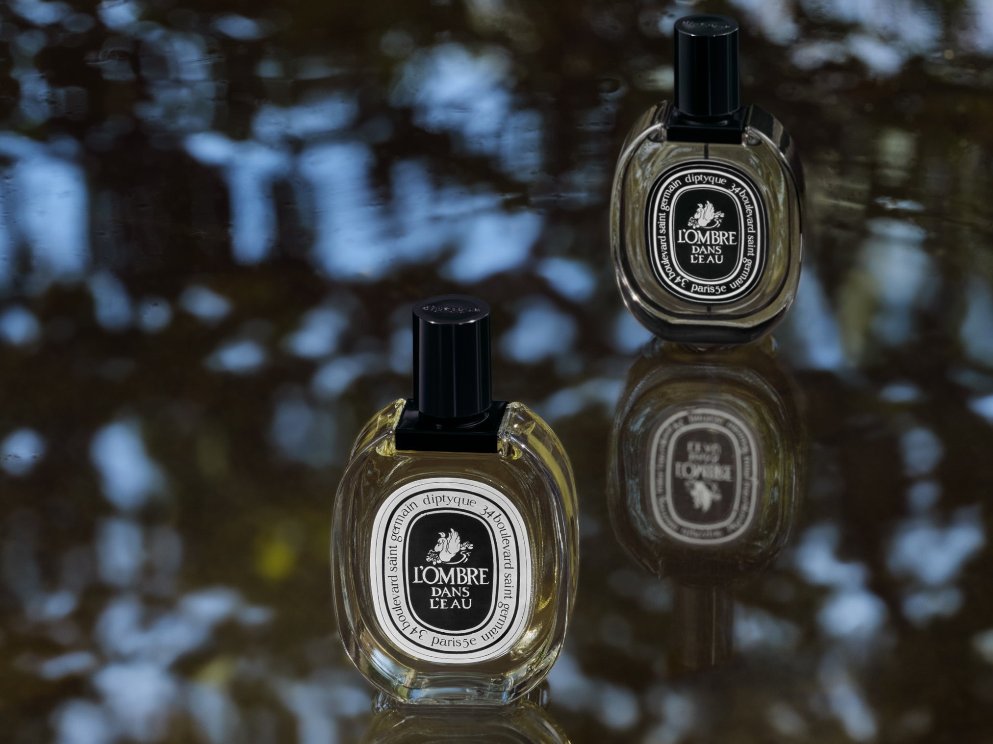 国内正規品 DIPTYQUE ORPHEON ヘアフレグランス ヘアミスト Orphéon - Hair mist – Diptyque