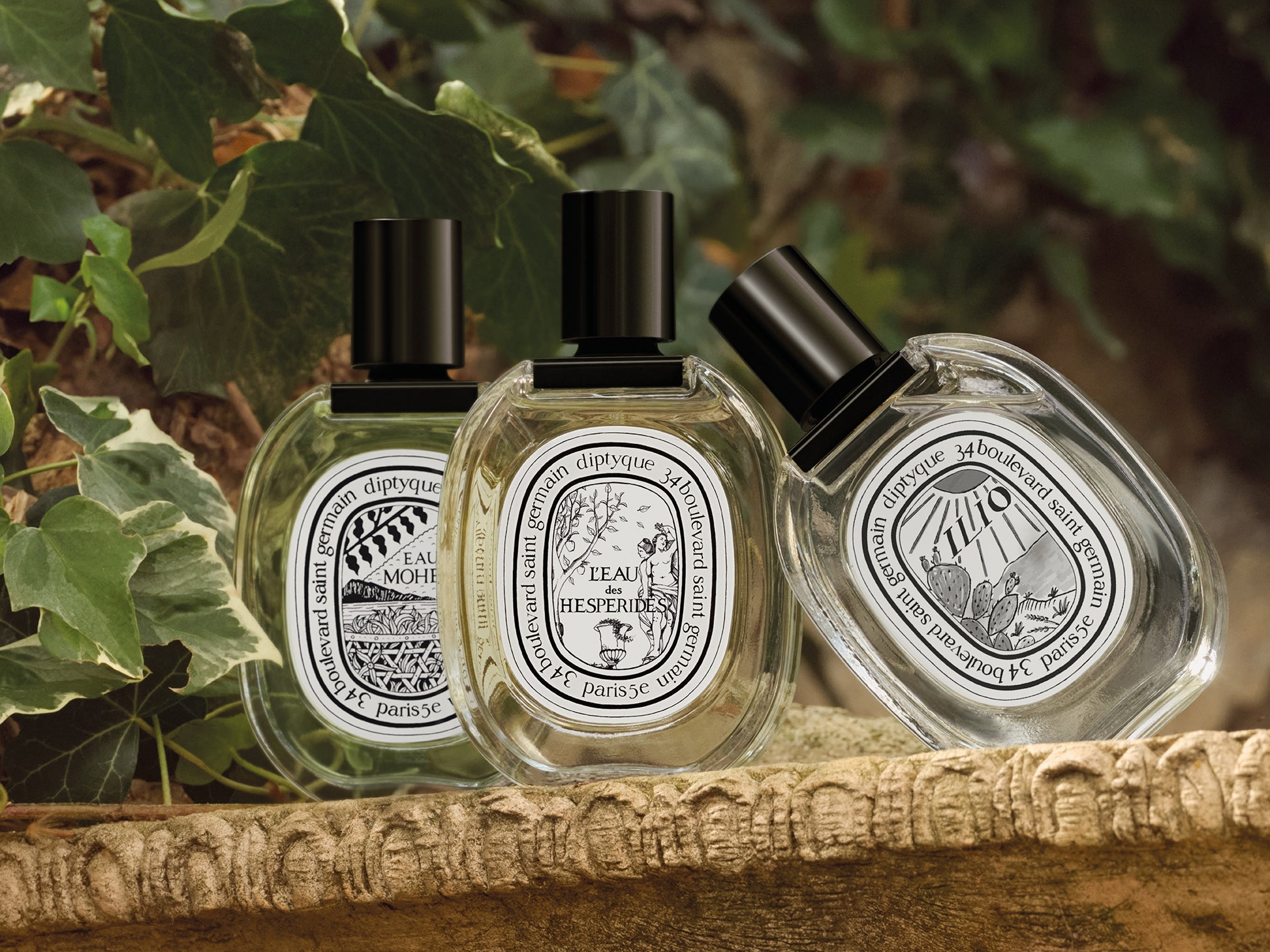 diptyque Eau Duelle オードパルファム　50ml Eau Duelle - Eau de parfum – Diptyque