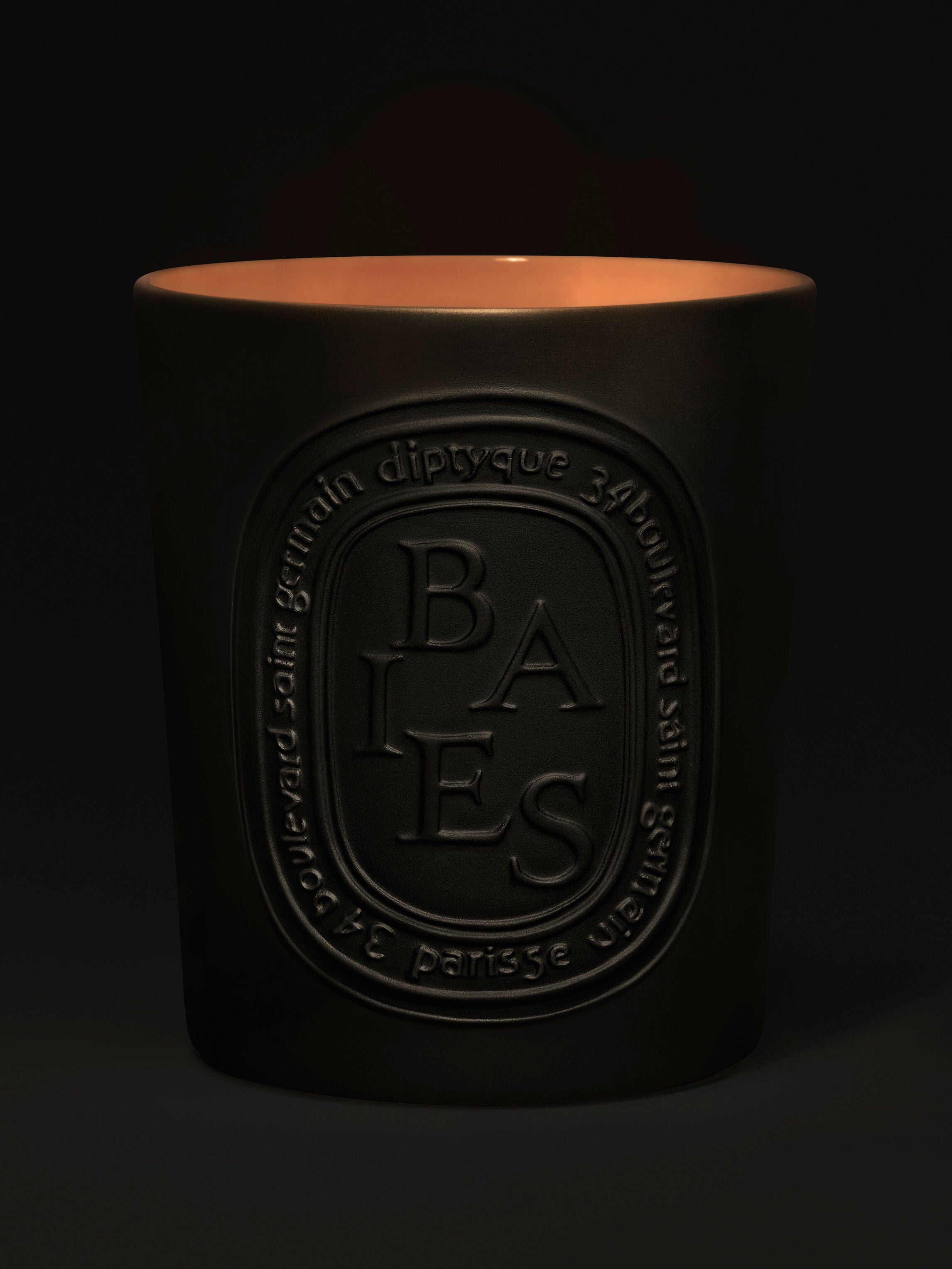 Baies (Berries) - Large Candle – Diptyque
