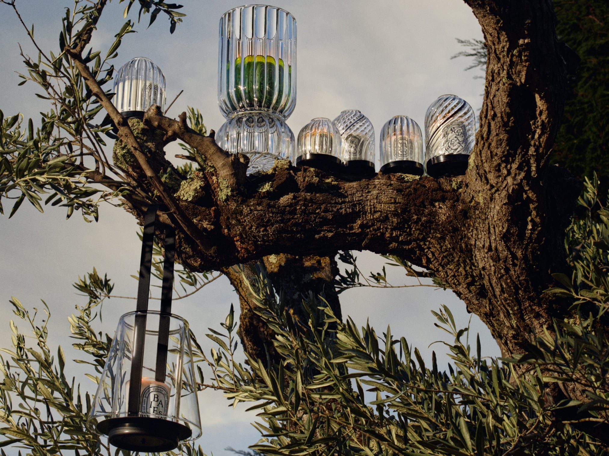 Freesia - Classic Candle – Diptyque
