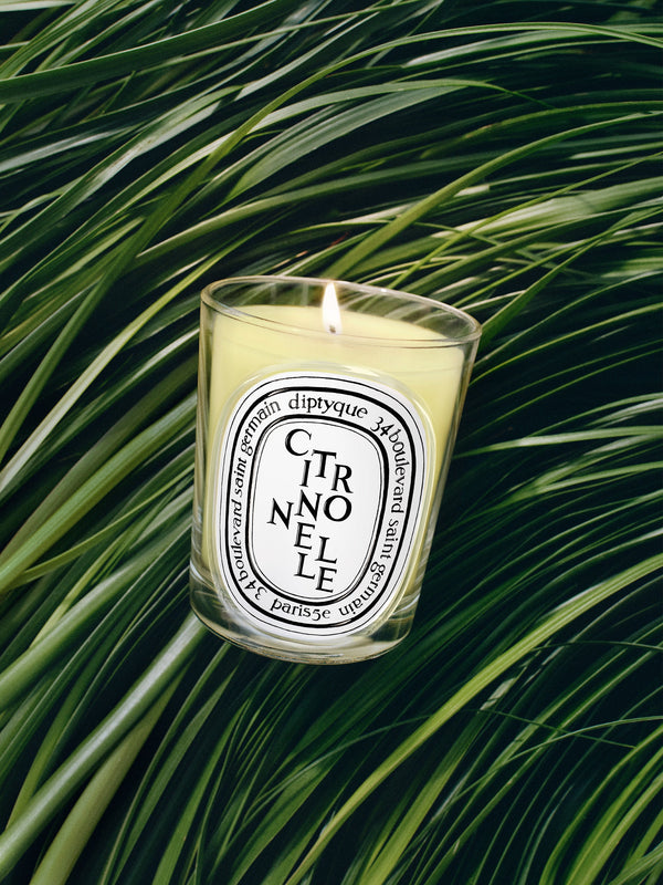 Citronnelle (Lemongrass) - Classic Candle