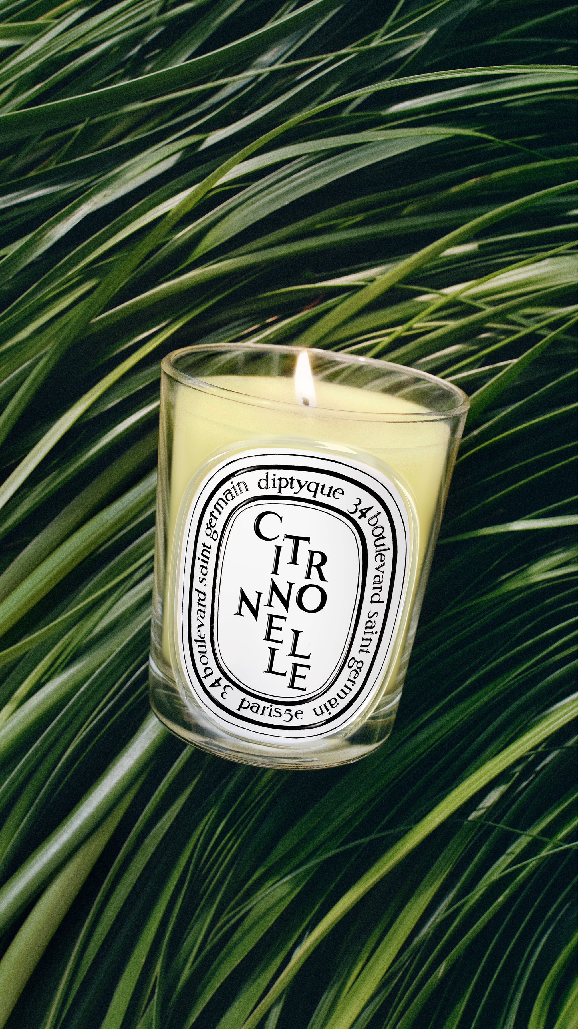 diptyque CITRONNELLE キャンドル 190g Citronnelle (Lemongrass) - Classic Candle – Diptyque