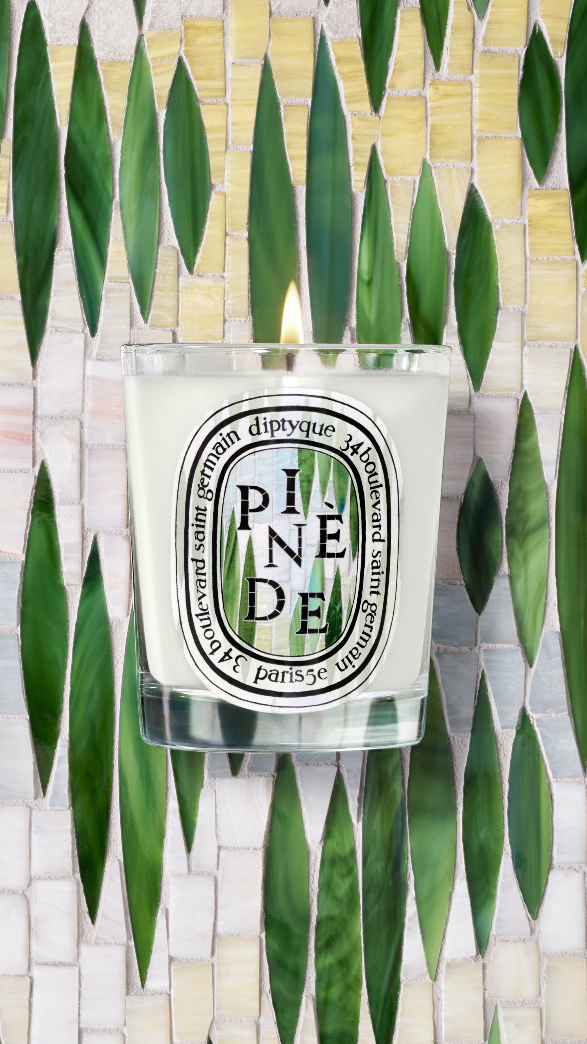 diptyque キャンドル PINÈDE 190g 箱付き　ピネード Pinède (Pine Grove) - Classic Candle – Diptyque