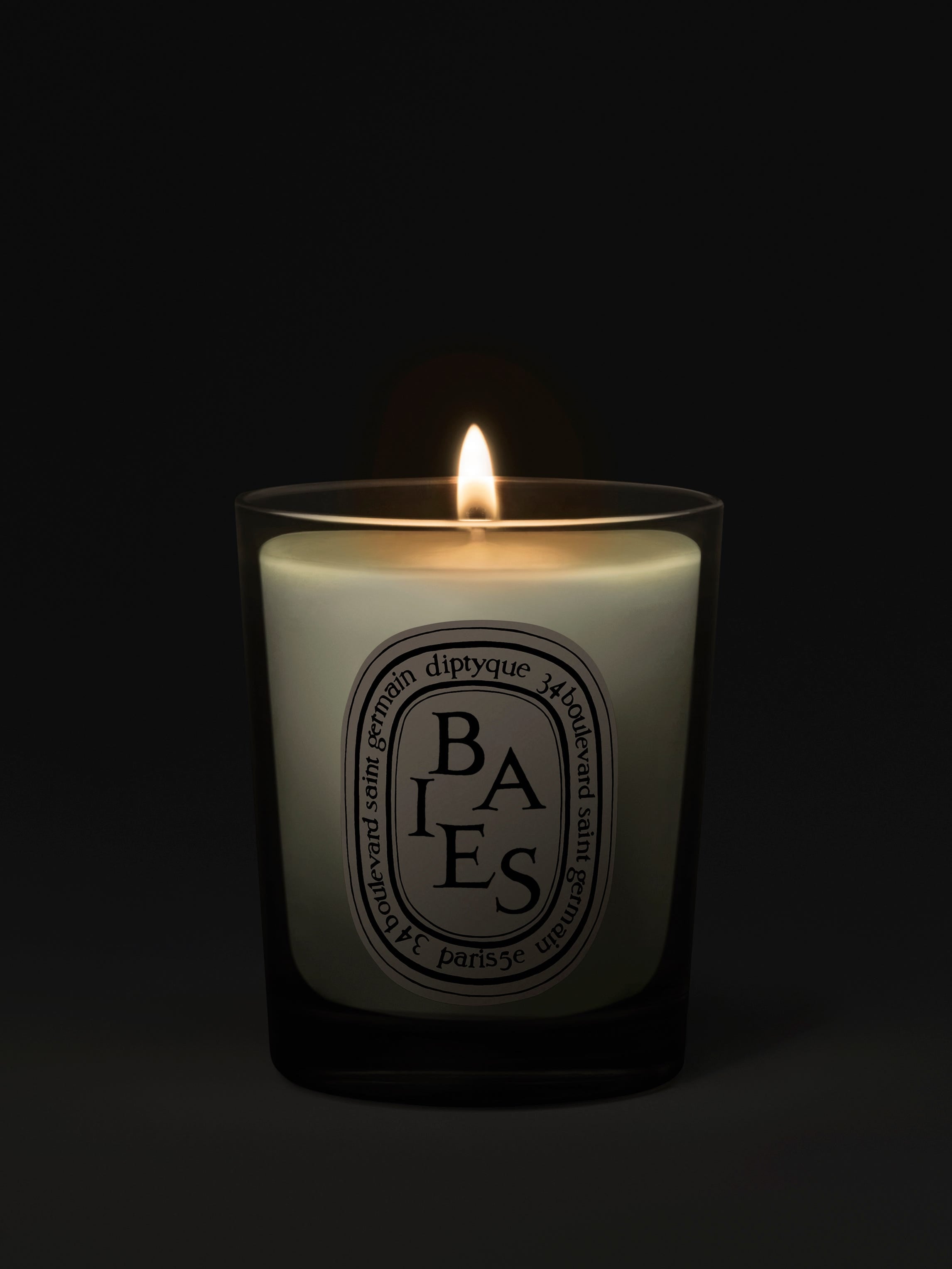 Baies (Berries) - Small Candle – Diptyque