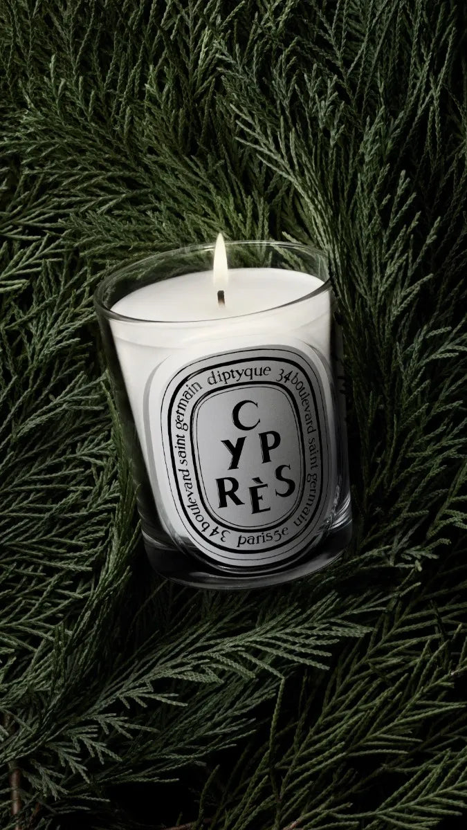 Cyprès (Cypress) - Classic Candle – Diptyque Cyprès (Cypress) - Classic Candle – Diptyque