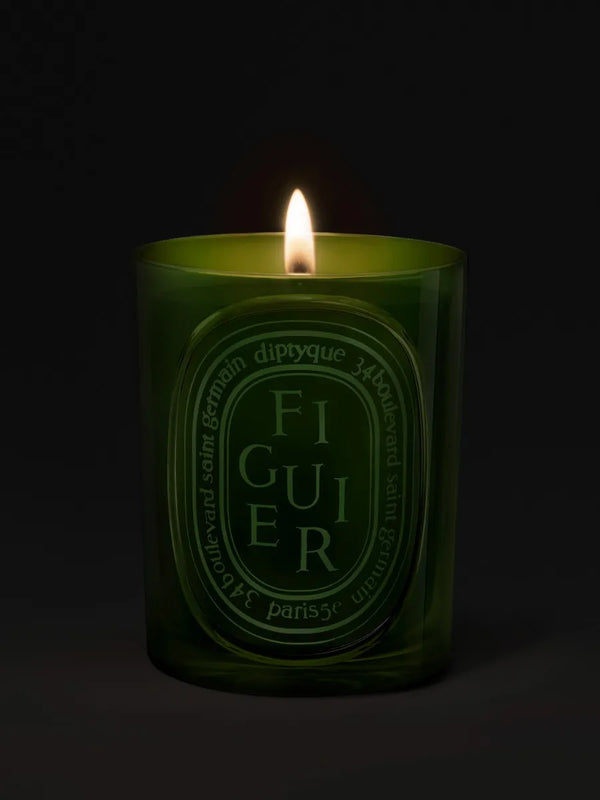 Figuier (Fig Tree) - Medium Candle