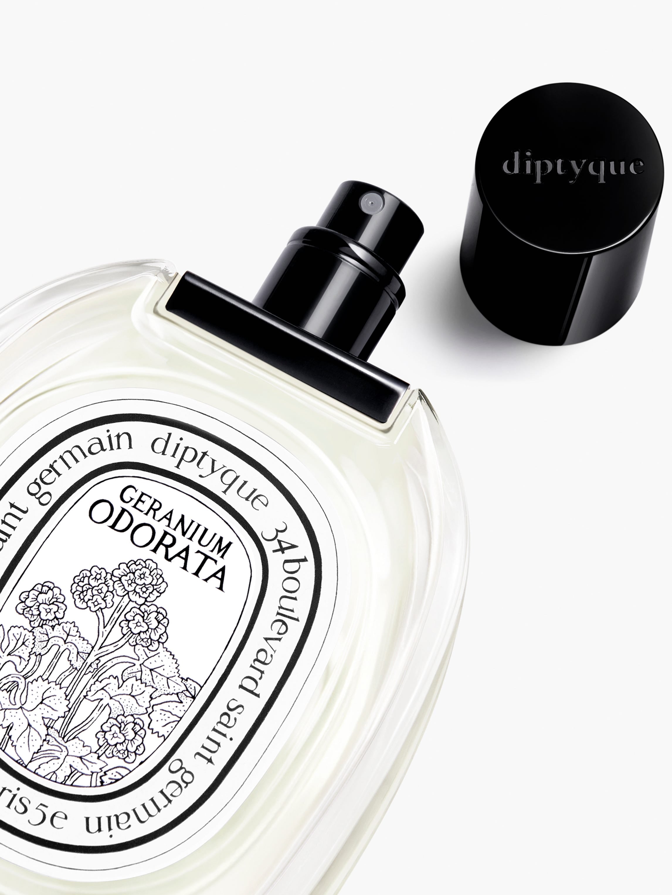 香水(女性用) diptyque GERANIUM ODORATA 100ml Geranium Odorata - Eau de toilette – Diptyque