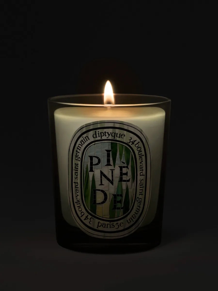 Pinède (Pine Grove) - Classic Candle – Diptyque Pinède (Pine Grove) - Classic Candle – Diptyque