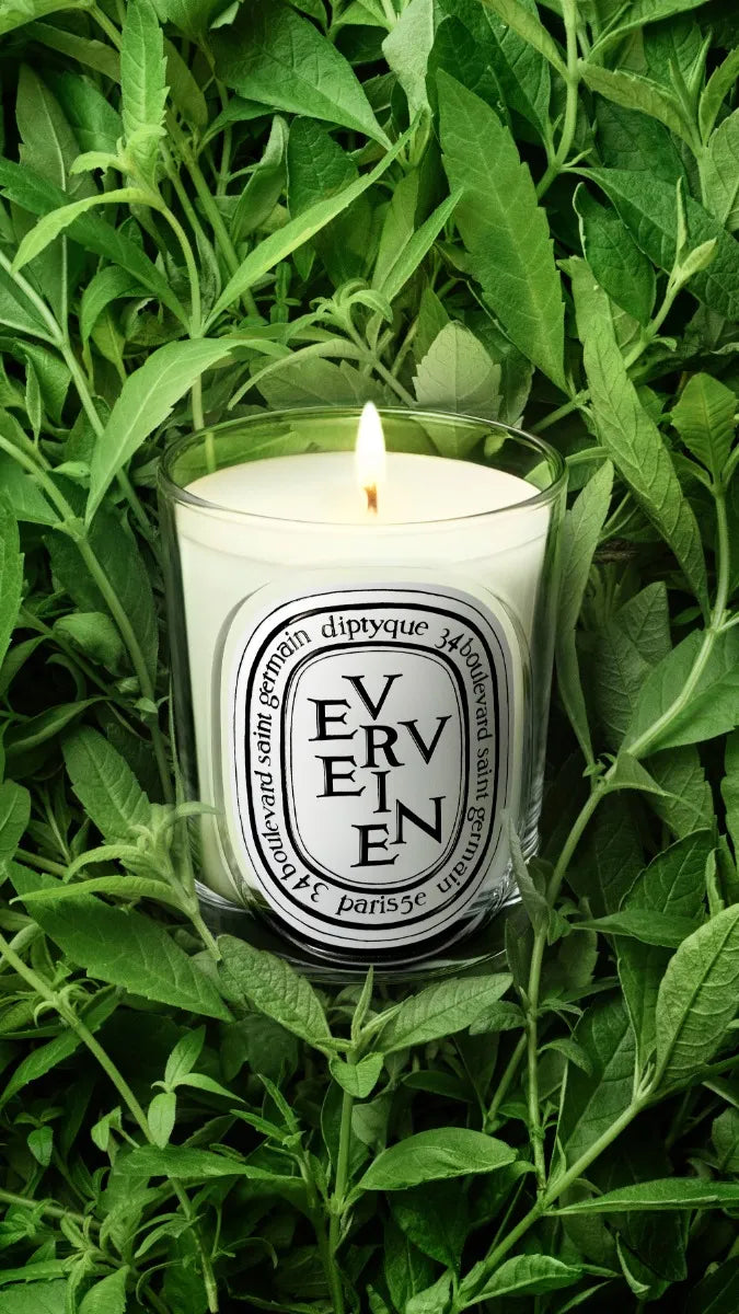Verveine (馬鞭草) - 經典蠟燭