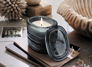 Baies (Berries) - Large Candle – Diptyque