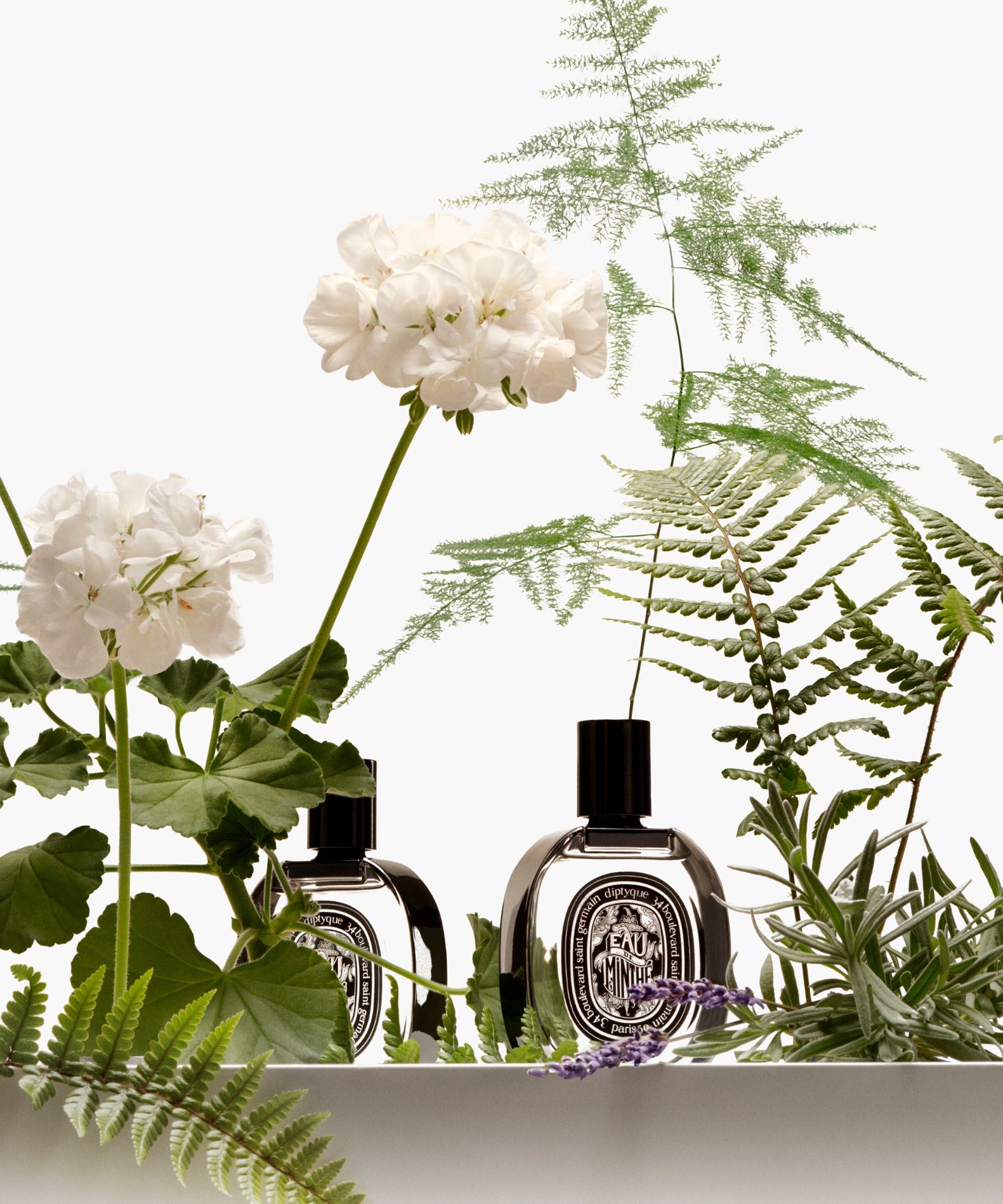 Fragrances – Diptyque
