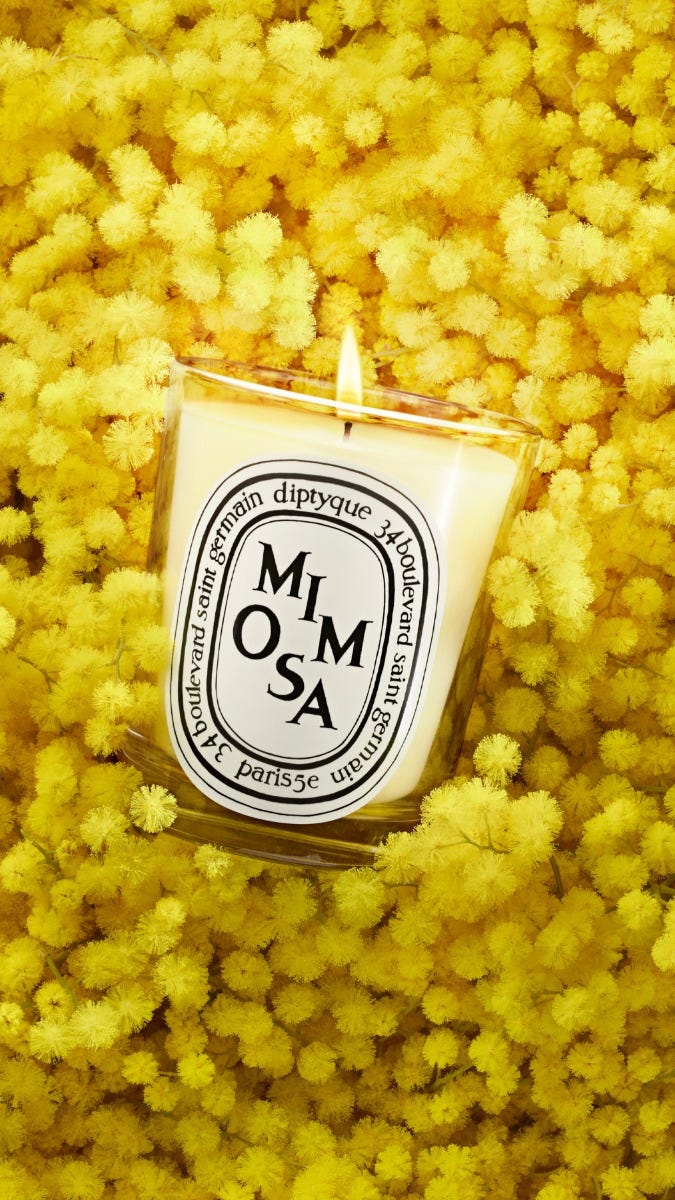 Mimosa - Small Candle – Diptyque