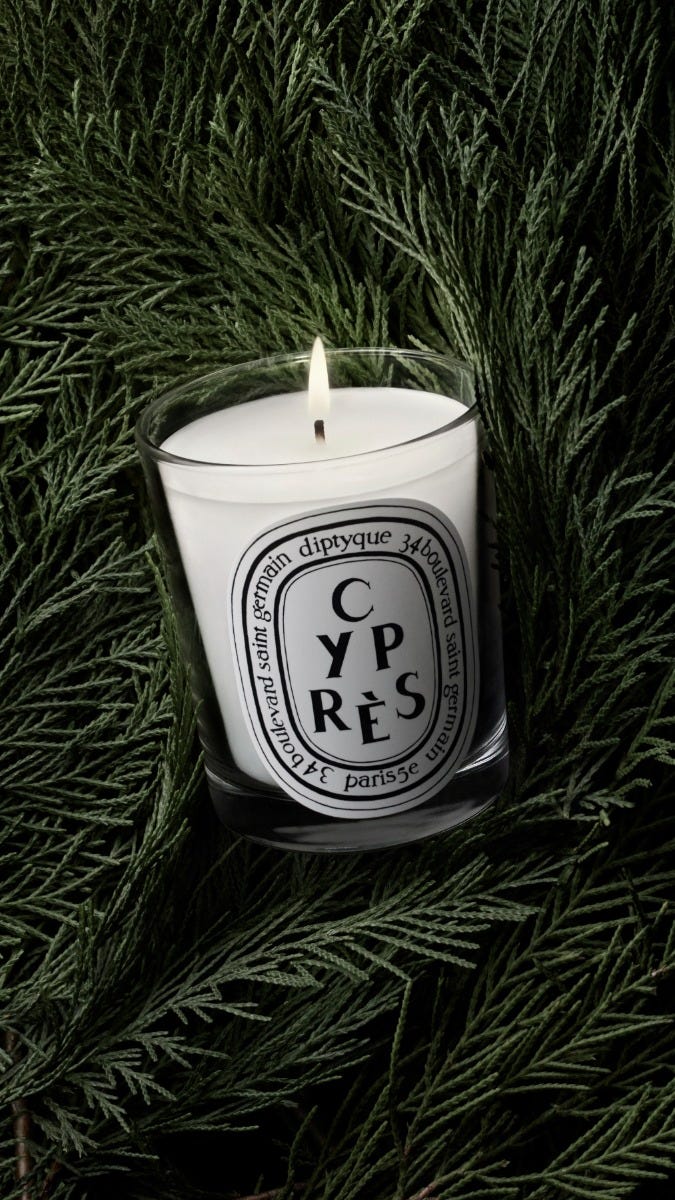 diptyque cypresキャンドル ギフト包装付き Cyprès (Cypress) - Small Candle – Diptyque