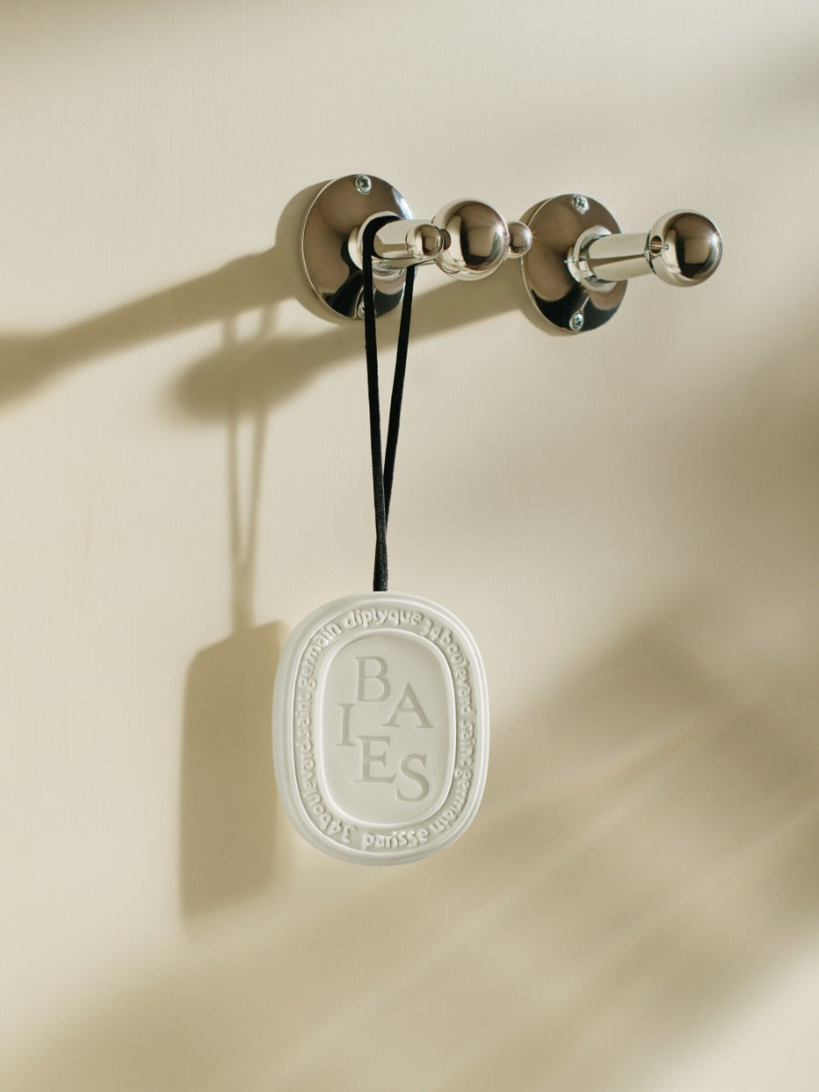 新品 DIPTYQUE ディプティック 香りのオーバル BAIES OVAL Baies (Berries) - Wax Oval – Diptyque