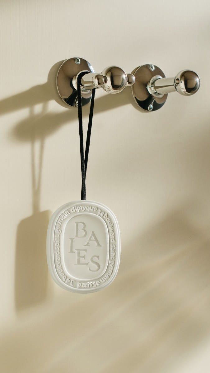 Baies (Berries) - Wax Oval – Diptyque