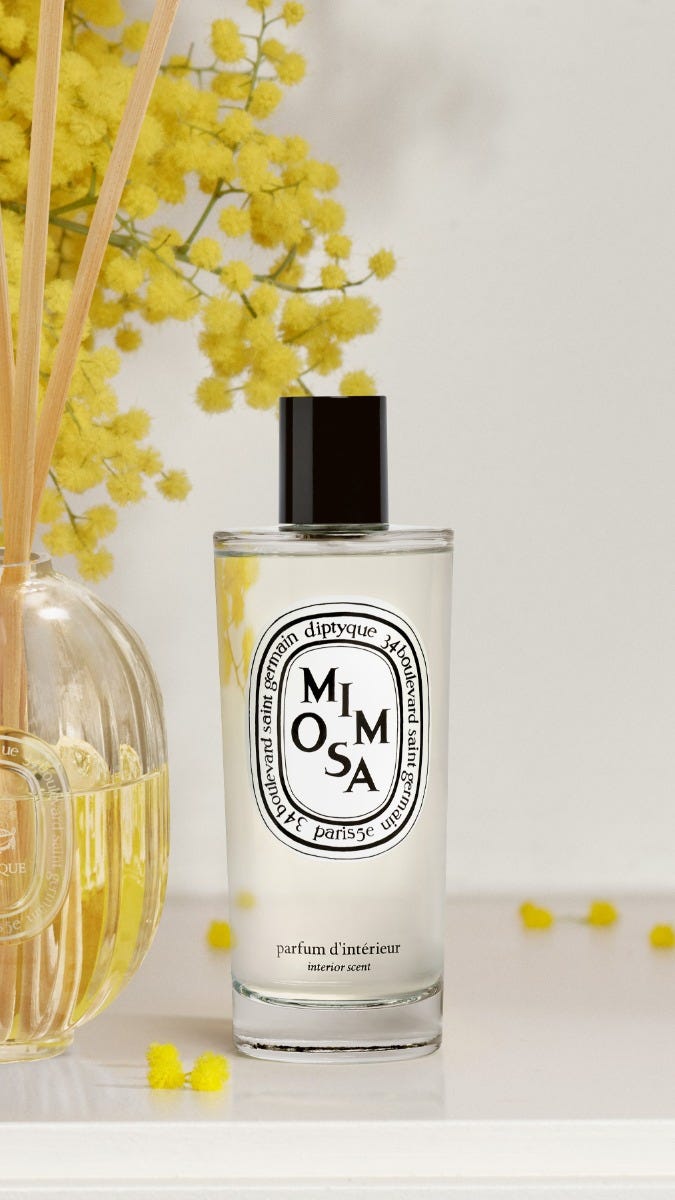 Mimosa (含羞草) - 室內香氛噴霧